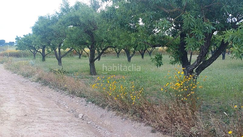 Foto ec1ee999-c672-4394-b9c3-b48aa72dfe3c. Terreny residencial a Móra d´Ebre