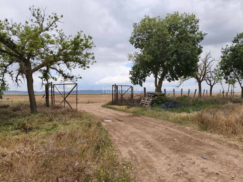 Foto 0ff93d04-9889-44b4-b62a-4bee01da0286. Finca rústica a Sol Madrid