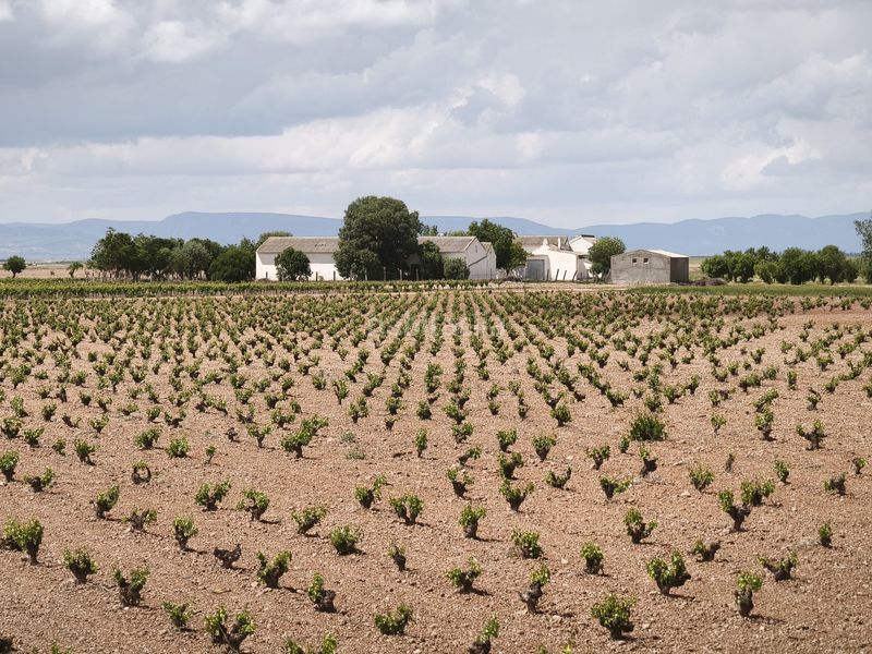 Foto 708b84b9-572e-4767-ba2b-a80072e4a249. Finca rústica a Sol Madrid
