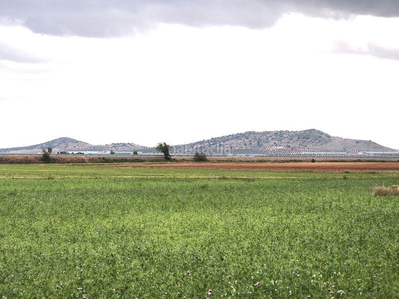 Foto a381ec22-e034-4877-9b79-b9ca14e2b613. Finca rústica a Sol Madrid