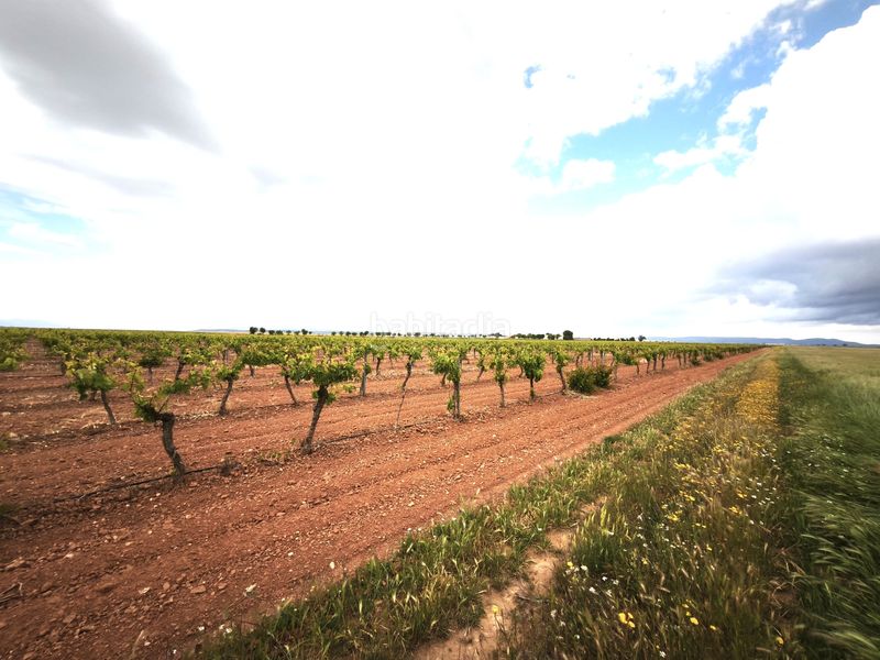 Foto c0b6b555-d89b-4060-8ede-34bc7d8fb305. Finca rústica a Sol Madrid