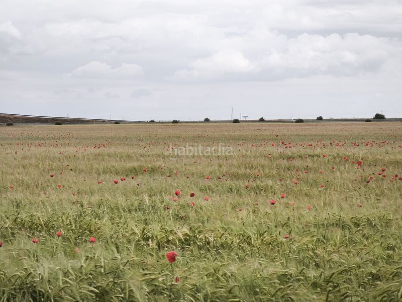 Foto c56bfb0a-84e9-4628-84b9-ff026f3c73c1. Finca rústica a Sol Madrid