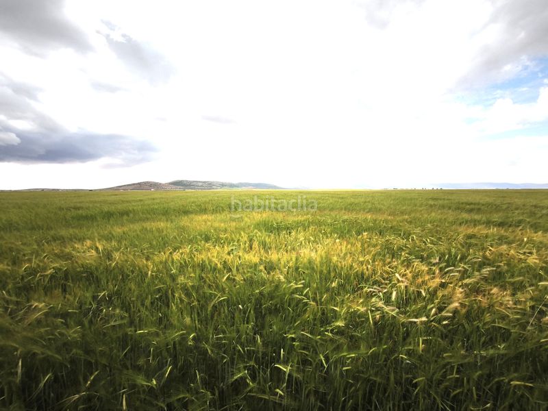 Foto ca409d77-4849-4a93-9558-8d0eacde8aa3. Finca rústica a Sol Madrid