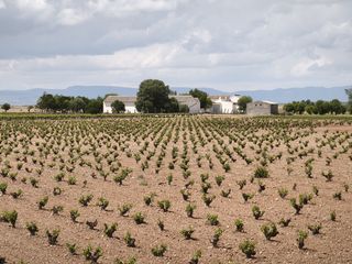 Finca rústica a Terrenos POLIGONO