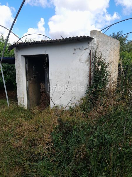 Foto 15dca00e-0fb0-42e4-aaa3-249424b20345. Finca rústica en Lepe