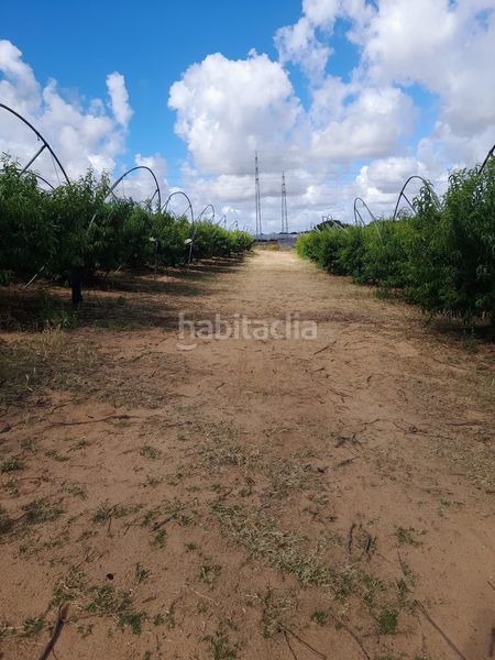 Foto c3b2d88a-2241-4b94-8437-0892489dbd32. Finca rústica en Lepe