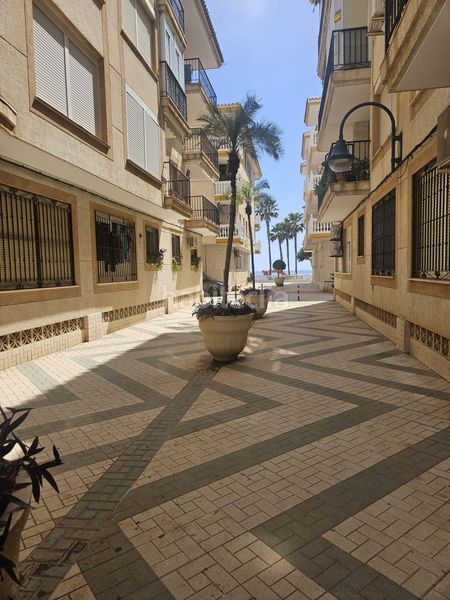 Foto 0ca5651f-2850-40d2-a409-2b753a43ed67. Pis a El Morche Torrox