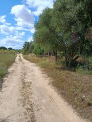 Finca rústica a Camino CAÑADA REAL ARMADA A-8032