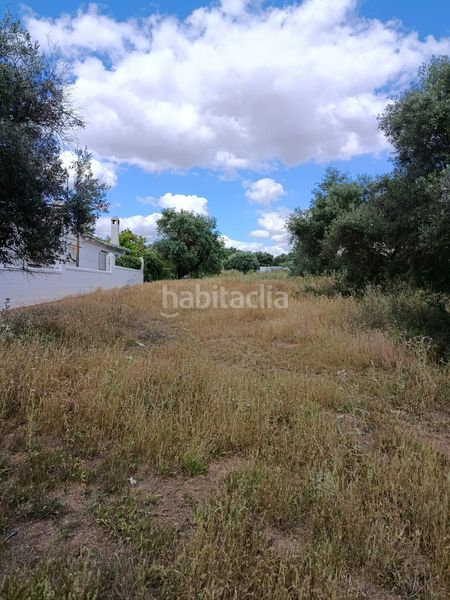 Foto 1ade3e57-98a4-4be2-b2f3-6f15c6eb1585. Finca rústica en Arco Norte - Avda España Dos Hermanas
