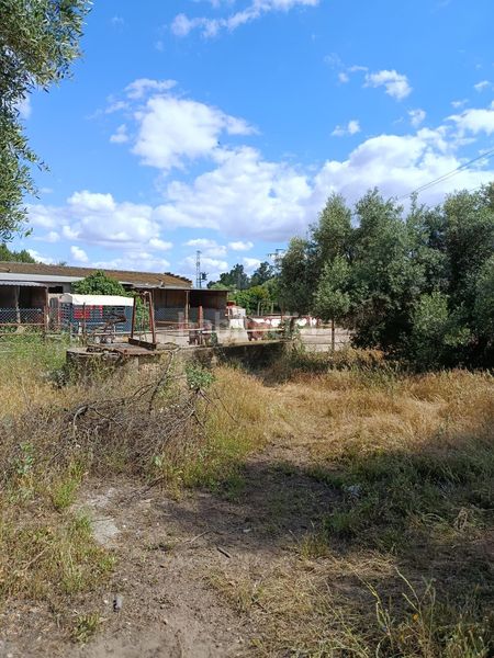 Foto 218b6c38-9a2e-41c6-8a9f-511490b6de8a. Finca rústica en Arco Norte - Avda España Dos Hermanas