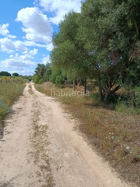 Foto 469c6928-7ca1-41af-84ec-53250fef7f63. Finca rústica en Arco Norte - Avda España Dos Hermanas