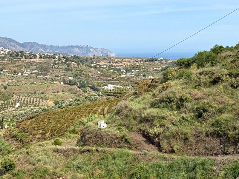 Foto 04ce6ae1-526f-4d19-b1e7-1ceacd981455. Finca rústica en Torrox pueblo Torrox