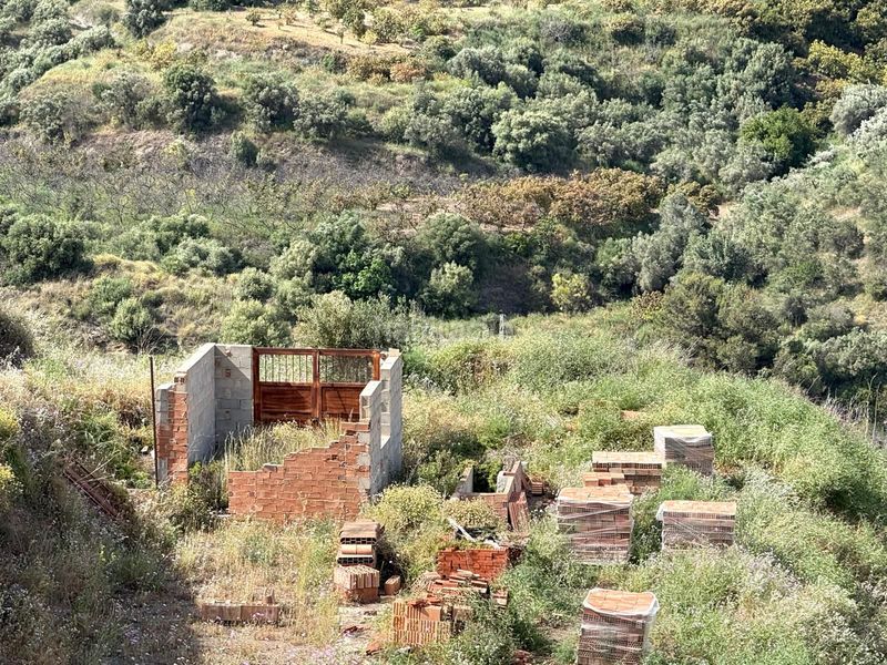 Foto 57b86123-3682-4251-970d-9559d38d4ef0. Finca rústica en Torrox pueblo Torrox