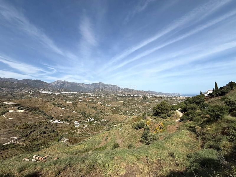 Foto b4684e33-c88f-4090-8029-b7a2c1f883a1. Finca rústica en Torrox pueblo Torrox