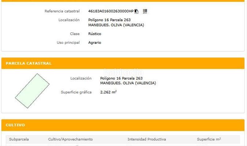 Foto 57f0433c-b8e8-4d43-9bfe-971d66e068ac. Propriété dans carretera n332 dans Oliva nova Oliva