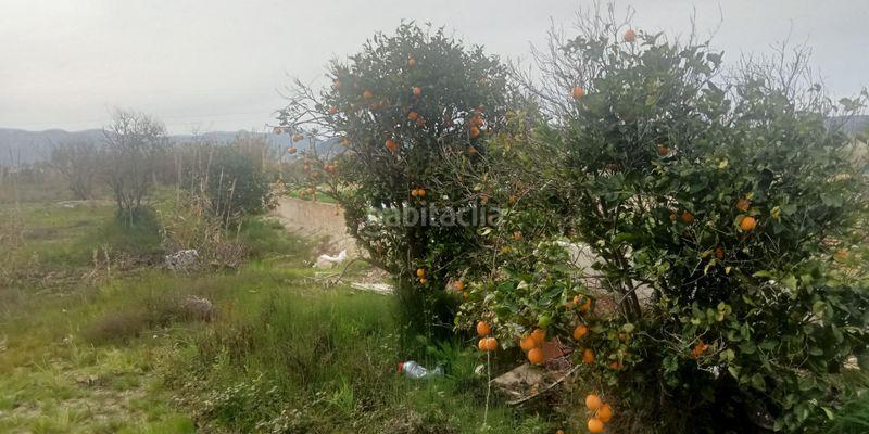 Foto 9051461b-16c6-4fd6-ae53-f7354e011eea. Propriété dans carretera n332 dans Oliva nova Oliva