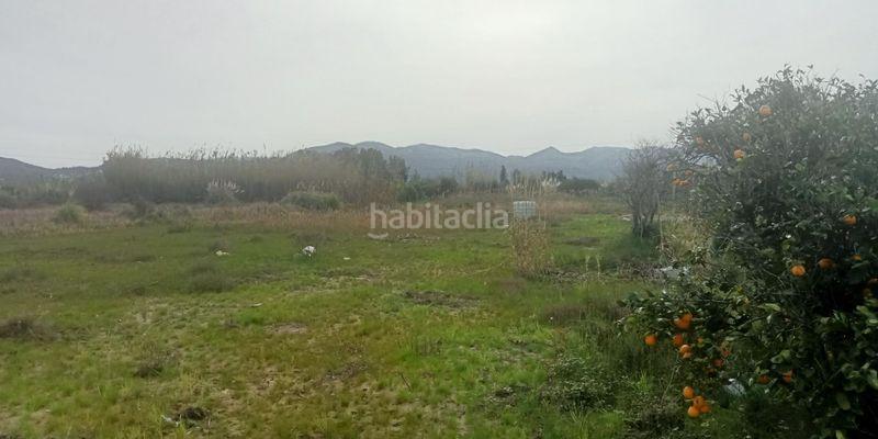 Foto e240fdae-0856-4593-a0a5-4bc6044c9d33. Propriété dans carretera n332 dans Oliva nova Oliva