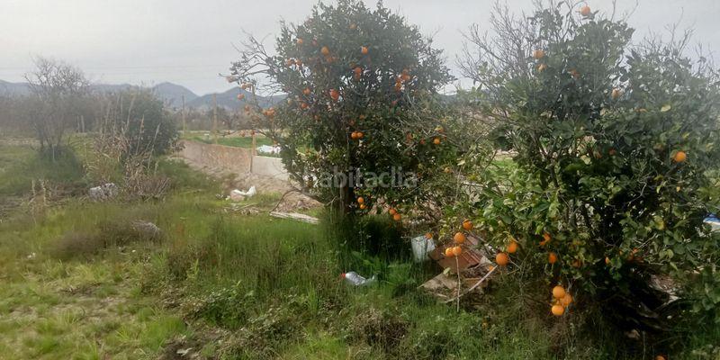 Foto 63a2fd81-a5ec-47c0-80a0-d3345a3ccd26. Finca rústica en carretera n332 en Oliva nova Oliva