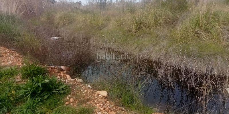 Foto b82f99c6-2738-436f-8e4f-7c24d30d5c5b. Finca rústica en carretera n332 en Oliva nova Oliva