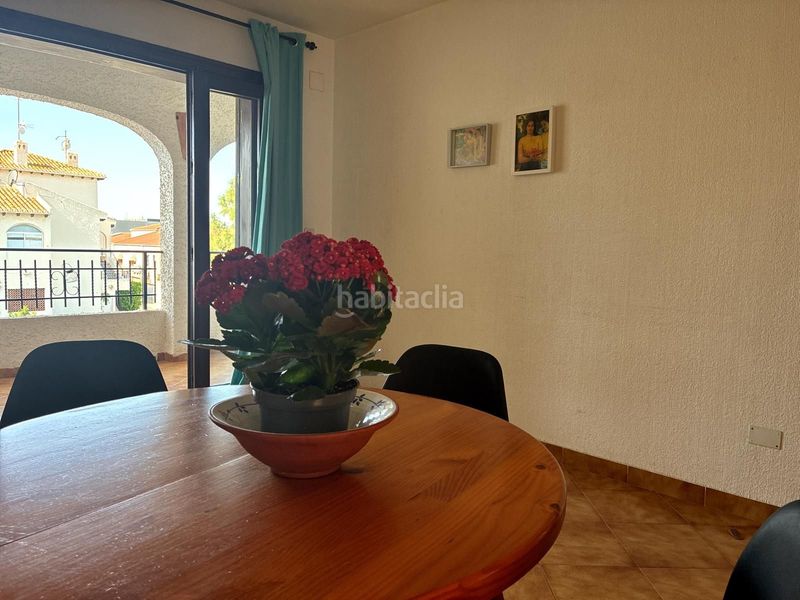 Foto cca416cd-6e43-4bbb-9b81-a65f42339298. Pis a Cabo Roig Orihuela