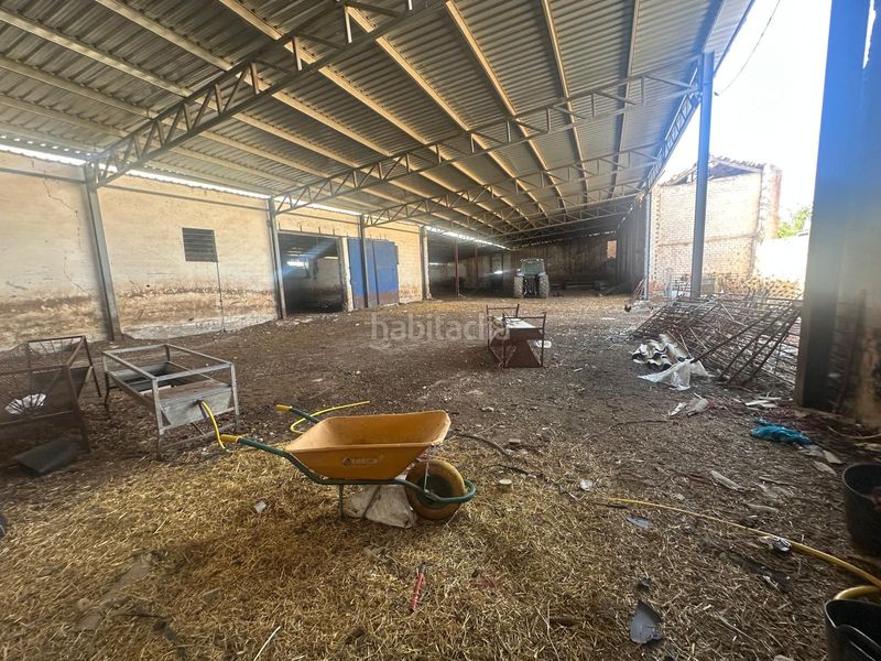 Foto 4f73eddc-a489-491a-9a70-a99a36b68c31. Finca rústica a Argamasilla de Alba