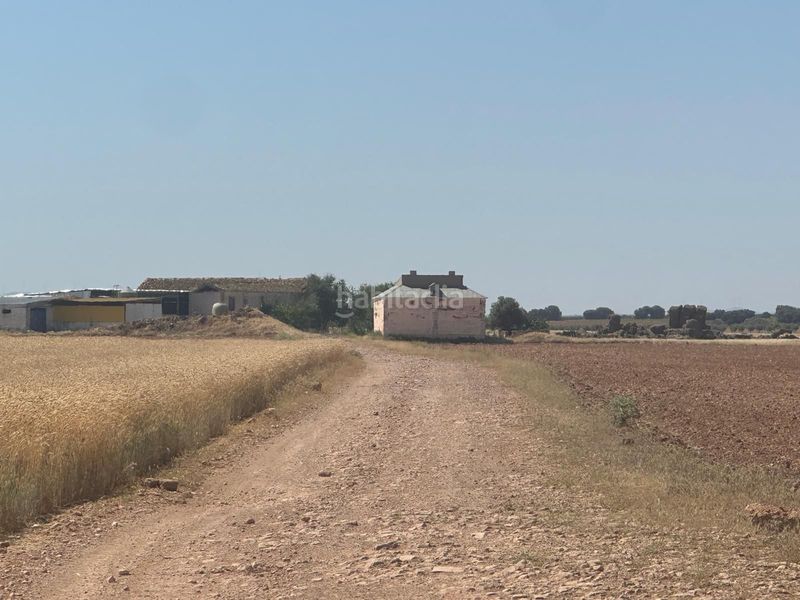Foto b9b1b294-92c6-408a-84c7-a5fd94a8fe11. Finca rústica a Argamasilla de Alba