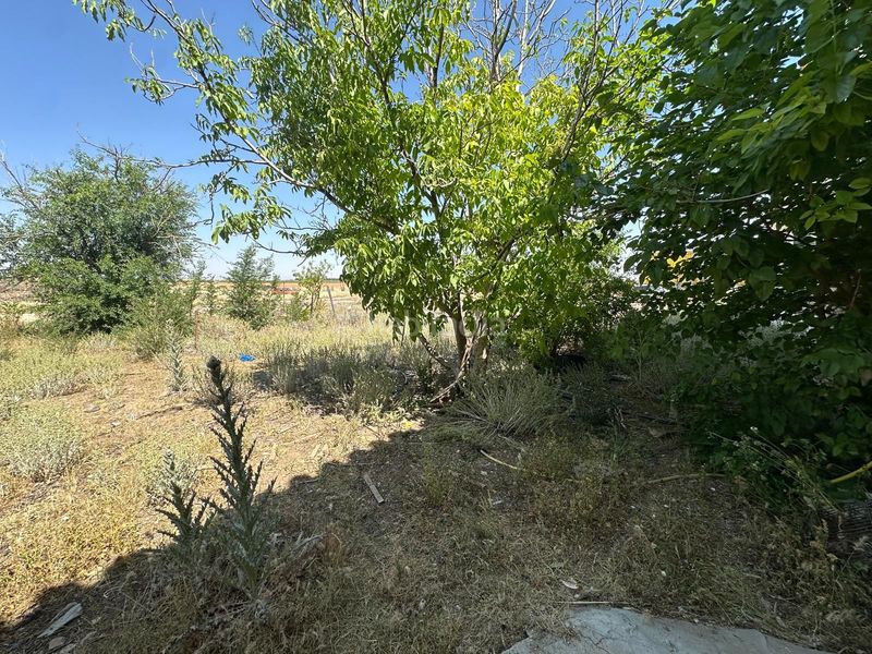 Foto f733b53d-a48e-4b1f-bfad-02e3e8722657. Finca rústica a Argamasilla de Alba