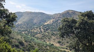 Fondo rustico  Camino villordi