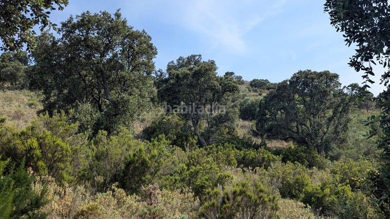 Foto b6fa45fc-b1b5-4c3a-a619-c5772aae3856. Finca rústica a La Vila Llançà