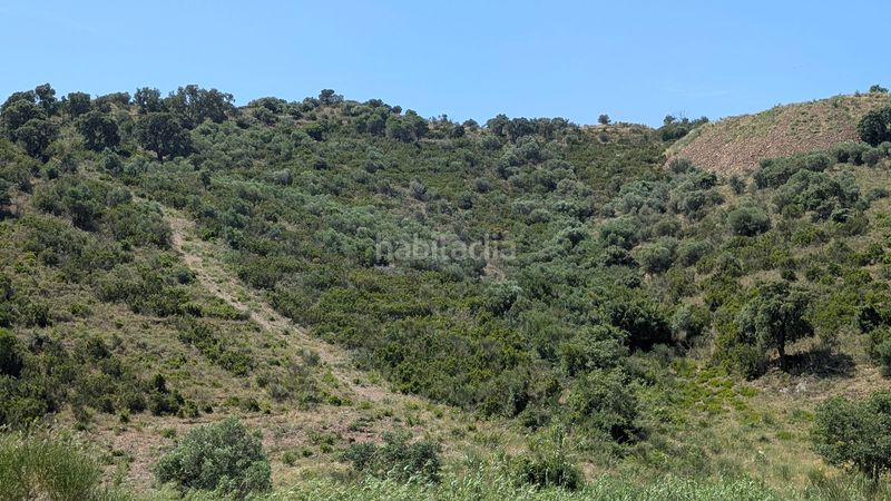 Foto d749afc8-354a-485f-bc59-e22237fd6a1b. Finca rústica a La Vila Llançà
