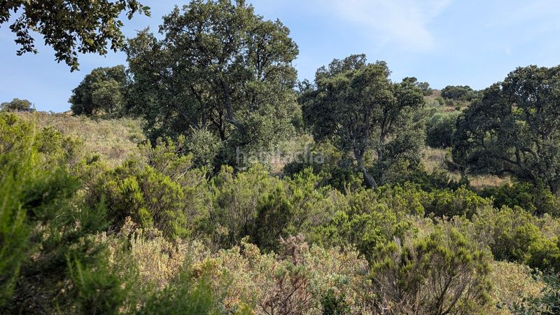 Foto ea819487-dcbf-4fd3-808b-f45691081580. Finca rústica a La Vila Llançà