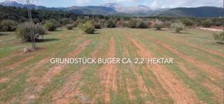 Residential Plot  Calle diseminado poligon, 4