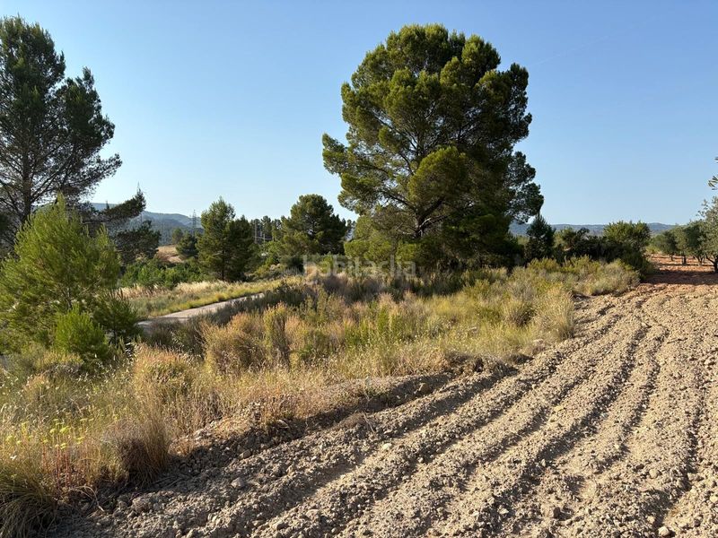 Foto b62fb0f0-35b3-464f-ae91-821b10b599a2. Finca rústica a Jalance