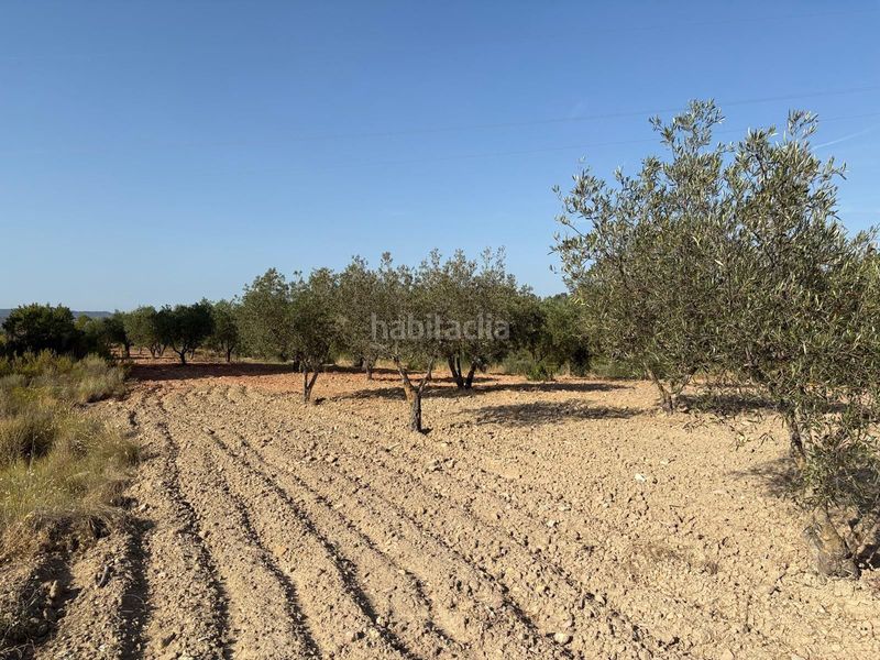 Foto c29d6f61-1627-46d5-ad51-94711a41b019. Finca rústica a Jalance
