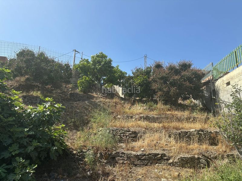 Foto 16cf06ff-c1e9-4ff2-a344-eb65c69dfee6. Masía en Camino Algarrobo - Las Arenas Vélez - Málaga