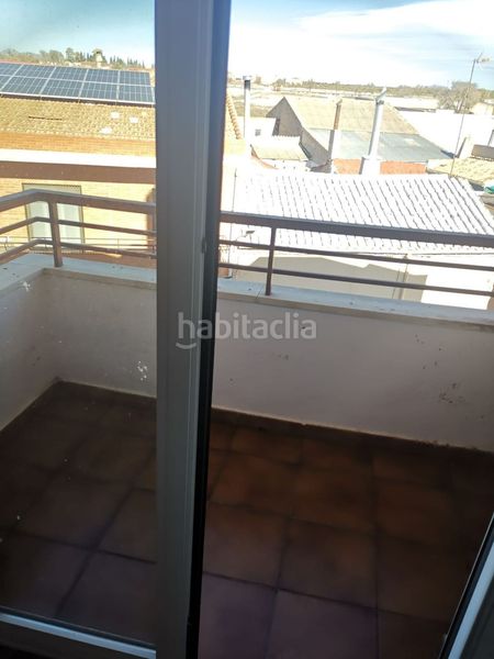 Foto 8f4414b7-7868-4681-b110-ce0d8576af74. Pis a Gineta (La)