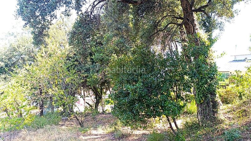 Foto 4d692869-4942-43dd-b96a-1571dfc99772. Finca rústica a Vallgorguina