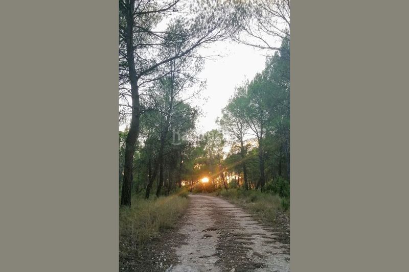 Foto ae75afeb-78e3-43ab-9a06-cfb8fcb61161. Casa a Requena