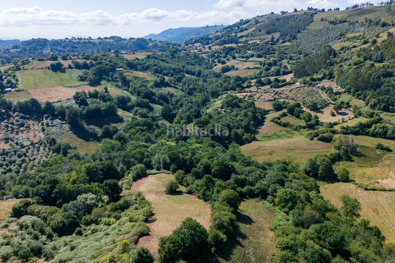 Foto b3645421-ea90-4730-8042-9da601c2253f. Casa adossada a Cabranes