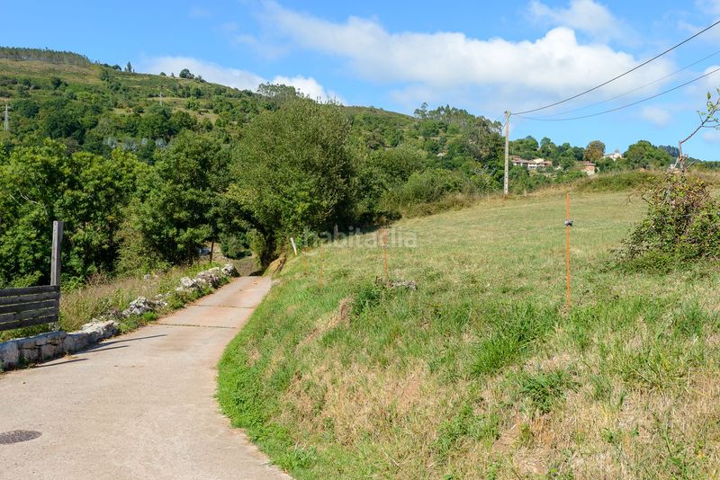 Foto d1b4a05d-f0ec-4cdd-b0a4-0aeaffa93359. Casa adossada a Cabranes
