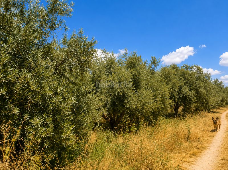 Foto f8eb0d4d-1ba2-4350-9beb-29b98b9f78fb. Casa a Santa Fe