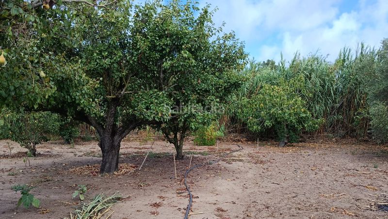 Foto 71d98cca-1903-47d8-8a6b-2dc5682293ef. Finca rústica a Aguadulce - Almadraba - Punta Candor Rota