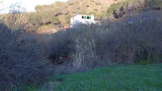 Mas à Camino Los Guaperos , Paraje Majada Llana,