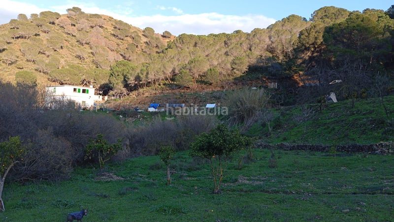 Foto 4ab276f8-7e40-48c0-8dc0-bdda5e865ccb. Masia a Campanillas Málaga
