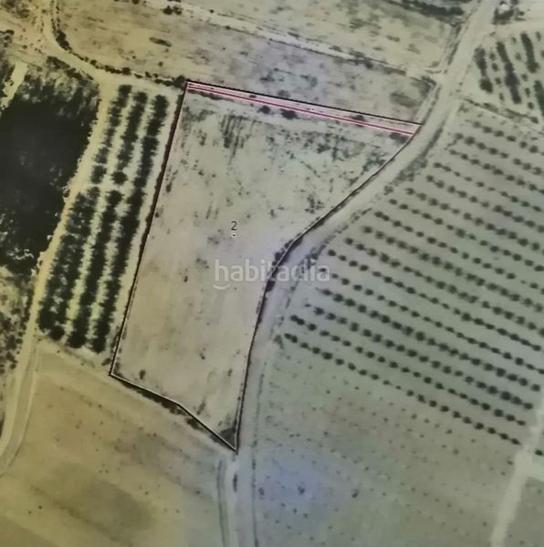 Foto a0ba8195-ac3d-46ba-8759-5671707d89c6. Finca rústica a Ojós