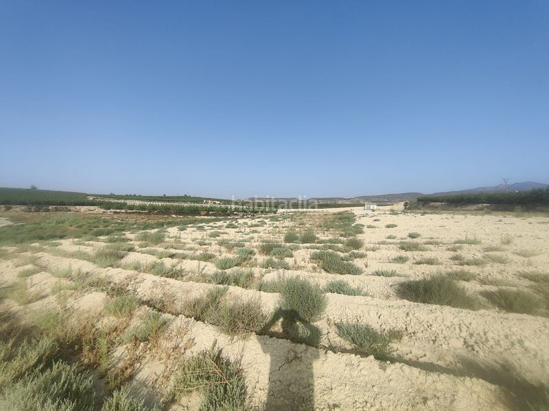 Foto ff687474-fc4f-4ebc-b416-acb474b0b8ad. Finca rústica a Ojós