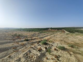 Landgut  Camino poligono