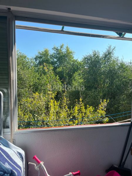 Foto bd0796fb-9603-477d-b5d7-f179f050dc20. Pis a Vinateros Madrid