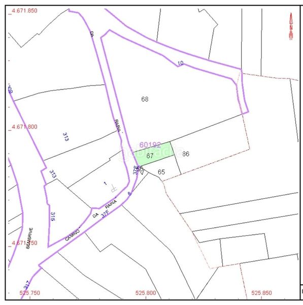 Foto 001bd445-47d8-4546-8b23-8def211648cb. Finca rústica a Bembrive Vigo