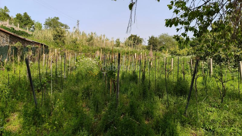 Foto 7c4f2749-7b2a-43bc-9c35-f88f40d43d3d. Finca rústica en Bembrive Vigo